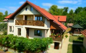 Casa Smeilor Horezu